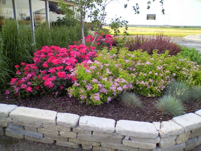 Ross Lawns & Landscaping Picture 8