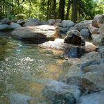 Ross Lawns & Landscaping