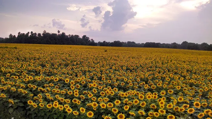 Fresh Aire Farms Picture 6