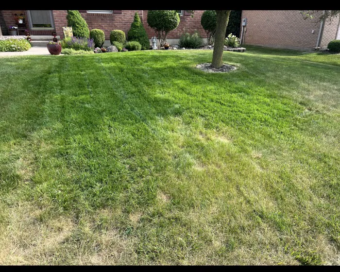 Dicke's Lawn Service Picture 2
