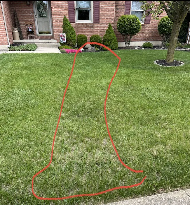 Dicke's Lawn Service Picture 5