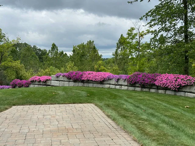 Stepleton's Outdoor Development Picture 5