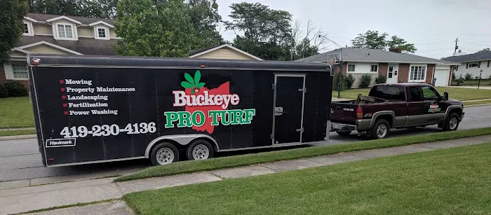 Buckeye Pro Turf Picture 1