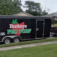 Buckeye Pro Turf ico