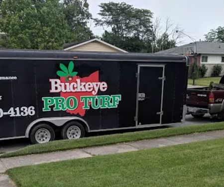 Buckeye Pro Turf
