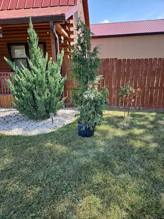 Buckeye Pro Turf Picture 7