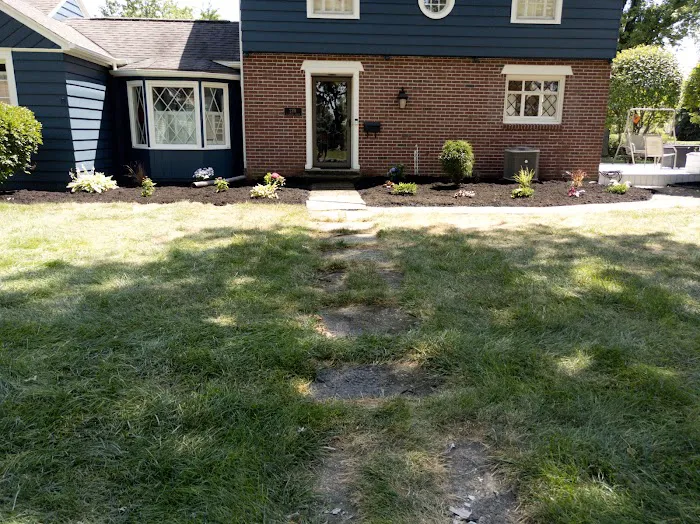 Buckeye Pro Turf Picture 3