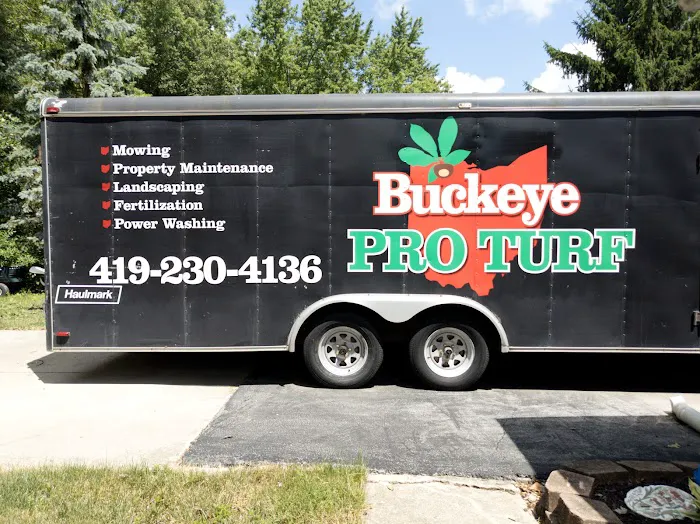 Buckeye Pro Turf Picture 2