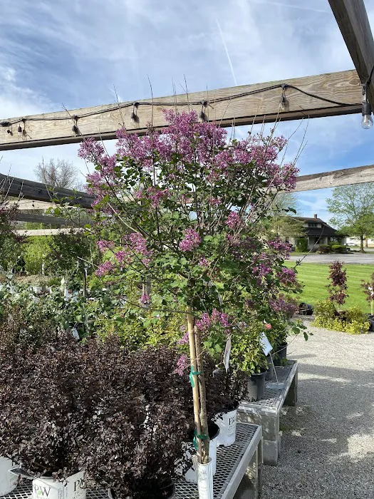 Spieles Nurseries Picture 10