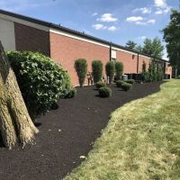 Ricker Lawn Services ico