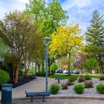 Fitzwater Outdoor Maintenance