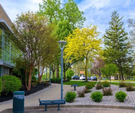 Fitzwater Outdoor Maintenance