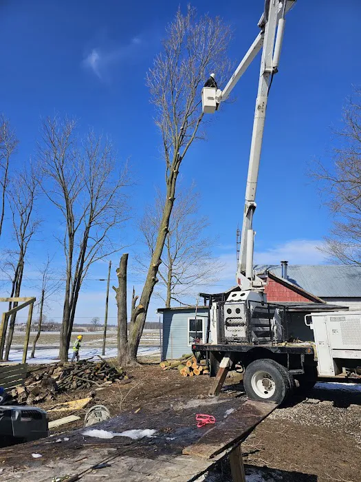 Fitzwater Outdoor Maintenance Picture 5