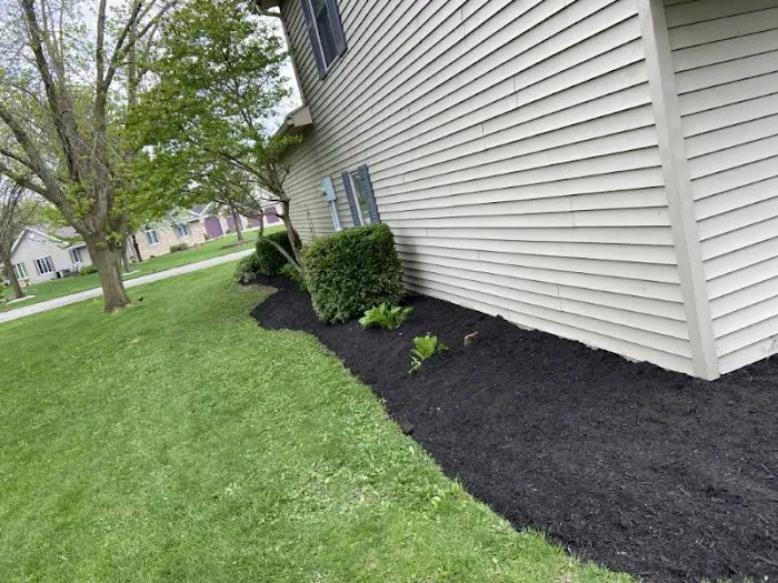 Walker's Outdoor Landscape Picture 2