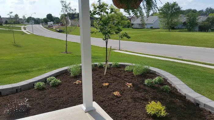 NicKelly, Inc Picture 1