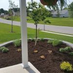 NicKelly, Inc