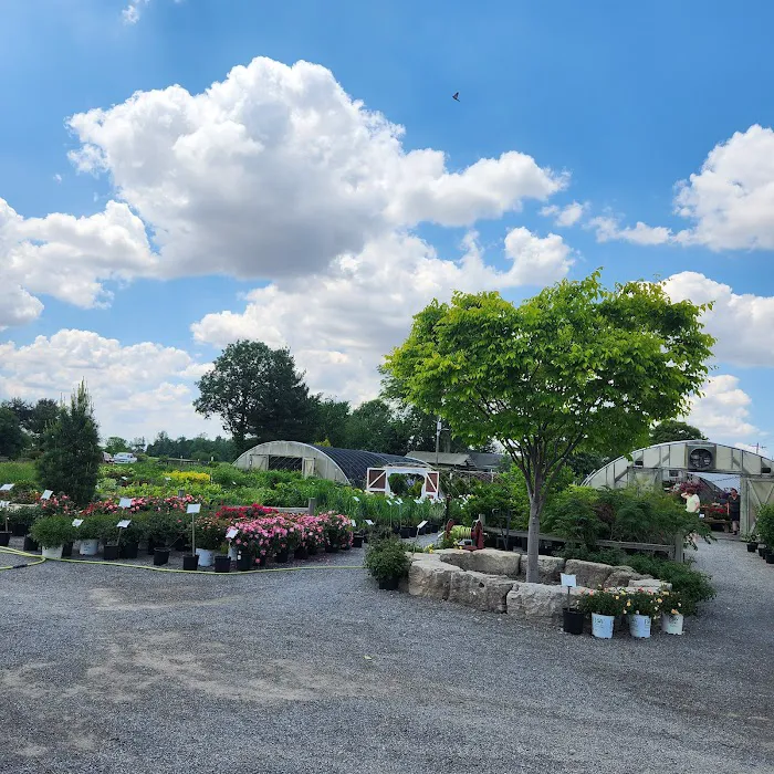 Beining Nursery & Landscaping Picture 4