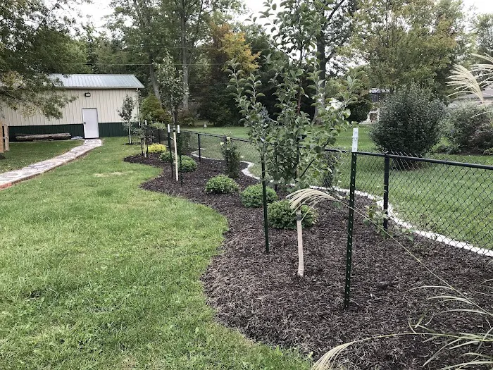 Beining Nursery & Landscaping Picture 5