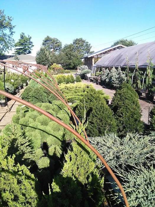 Beining Nursery & Landscaping Picture 10