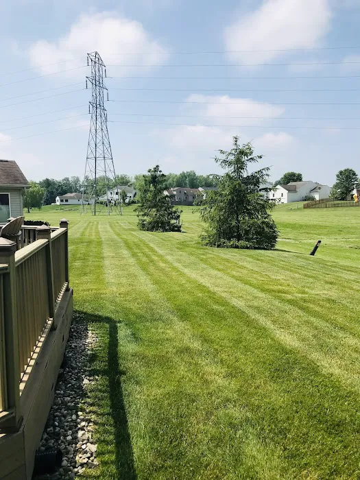 Spears Lawn Care Picture 2