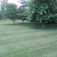 Spears Lawn Care ico