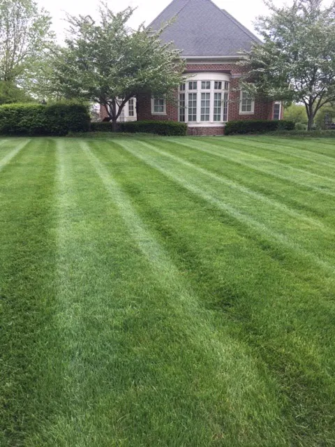 Affordable Lawn Care Company Picture 1