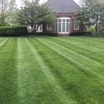 Affordable Lawn Care Company