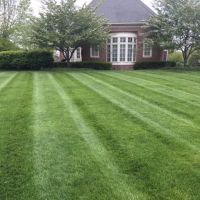 Affordable Lawn Care Company ico