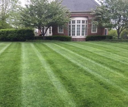 Affordable Lawn Care Company