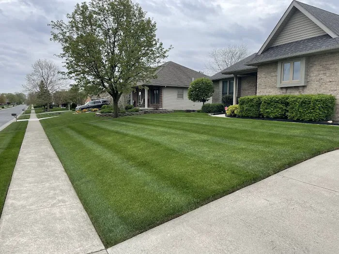 Affordable Lawn Care Company Picture 6