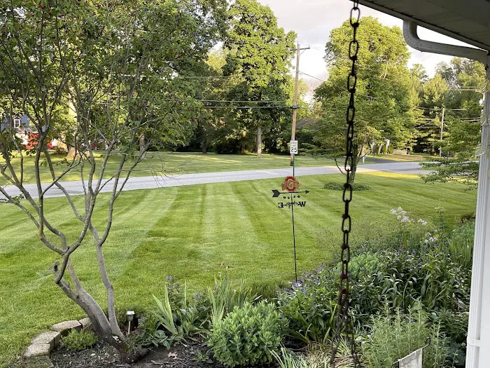 M&M Lawn Mowing and Landscaping LLC Picture 2