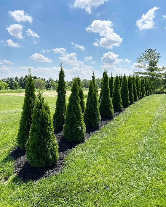 Straight Line Outdoor Picture 10