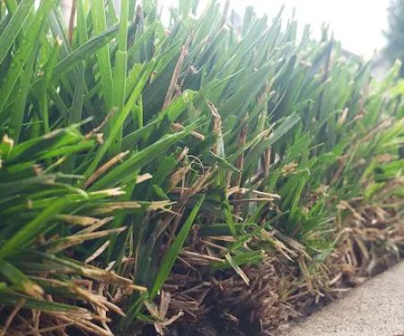 T's Turf Cuts