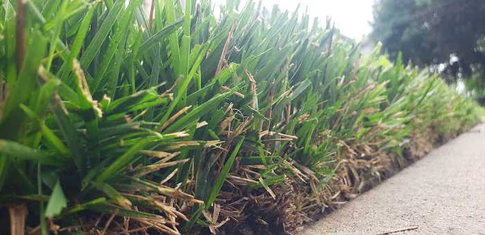 T's Turf Cuts Picture 9