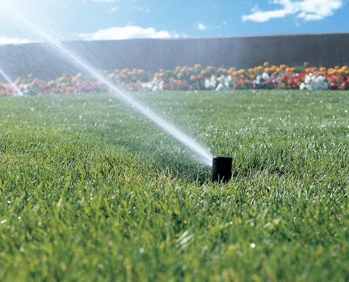 Ddm Landscape & Irrigation Picture 5