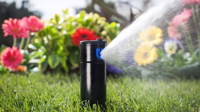 Ddm Landscape & Irrigation Picture 1