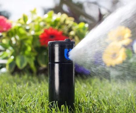 Ddm Landscape & Irrigation