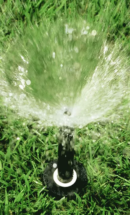Ddm Landscape & Irrigation Picture 6