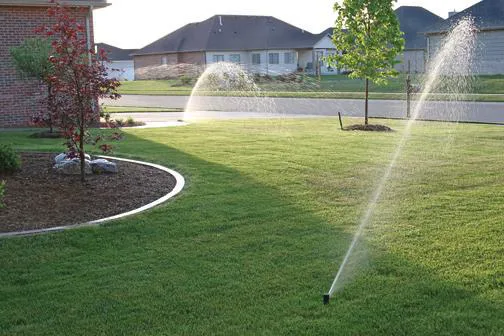 Ddm Landscape & Irrigation Picture 8