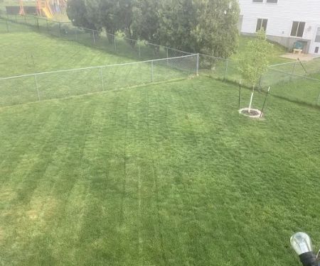 A & S Lawn and Landscaping LLC
