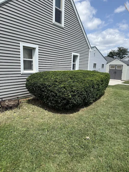 A & S Lawn and Landscaping LLC Picture 2