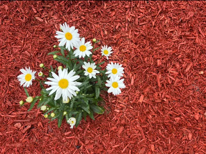 Kramer Lawn and Landscape LLC Picture 9