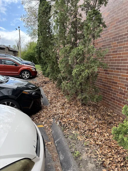 Heroes Lawn Care of Cedar Rapids Picture 10