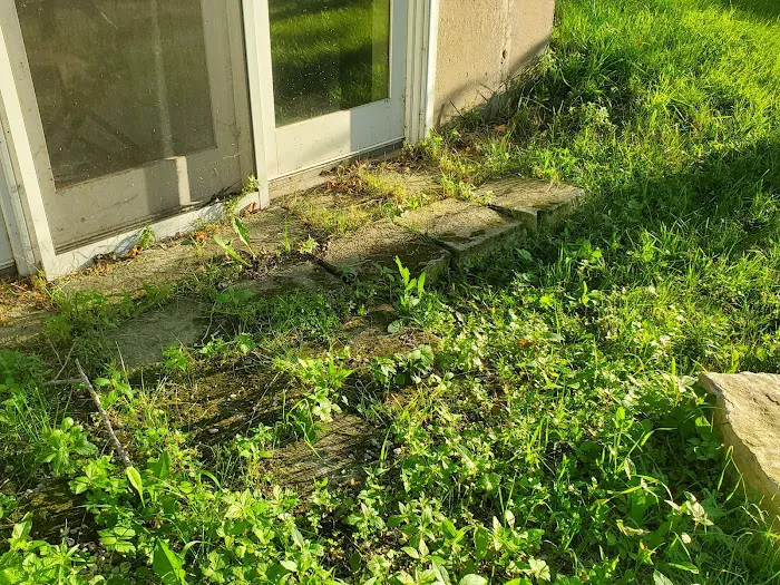 Emerald Green Lawn Care & Landscaping, Inc Picture 6