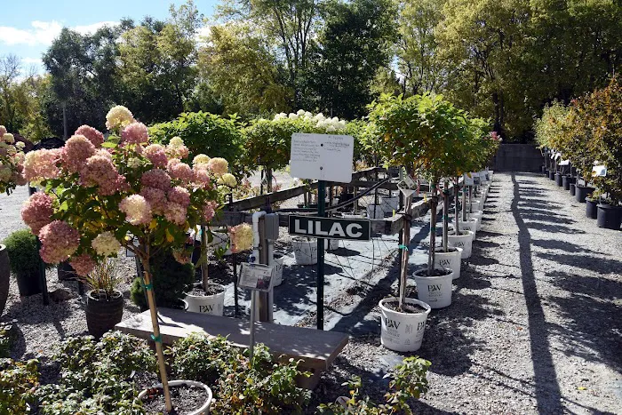 Chalupsky Nursery Picture 1