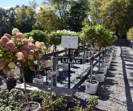 Chalupsky Nursery