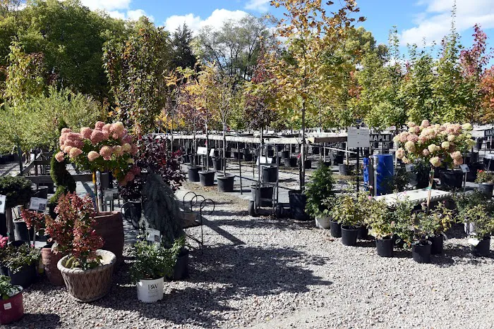 Chalupsky Nursery Picture 4