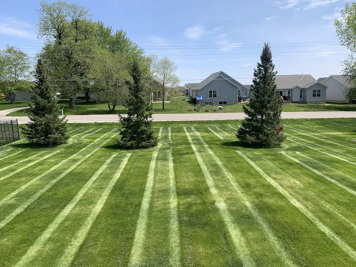 Diamond Edge Lawn Picture 6