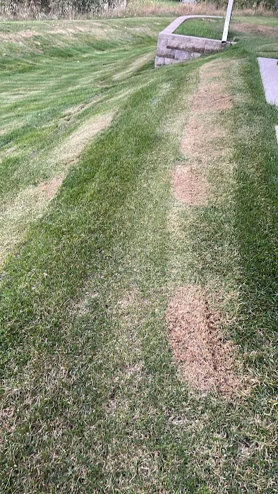 Greg's Lawn & Landscaping Picture 6