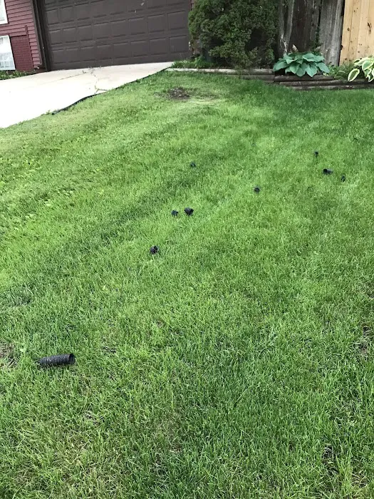 Greg's Lawn & Landscaping Picture 9
